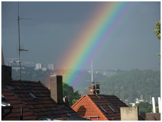 Regenbogen