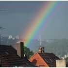 Regenbogen