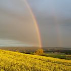 Regenbogen