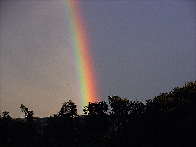 Regenbogen