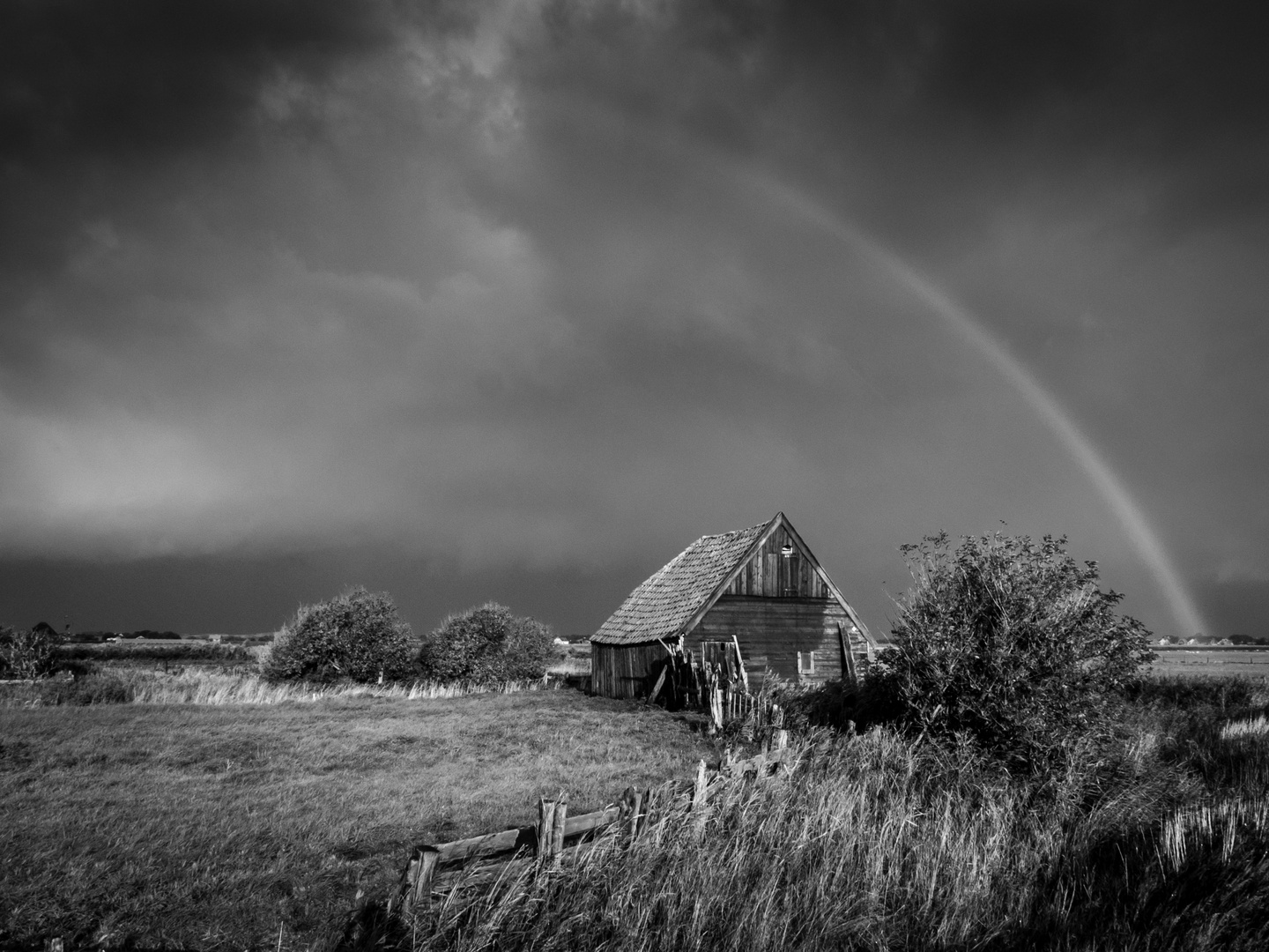 Regenbogen