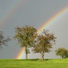 Regenbogen "Ein Stück Hoffnung"