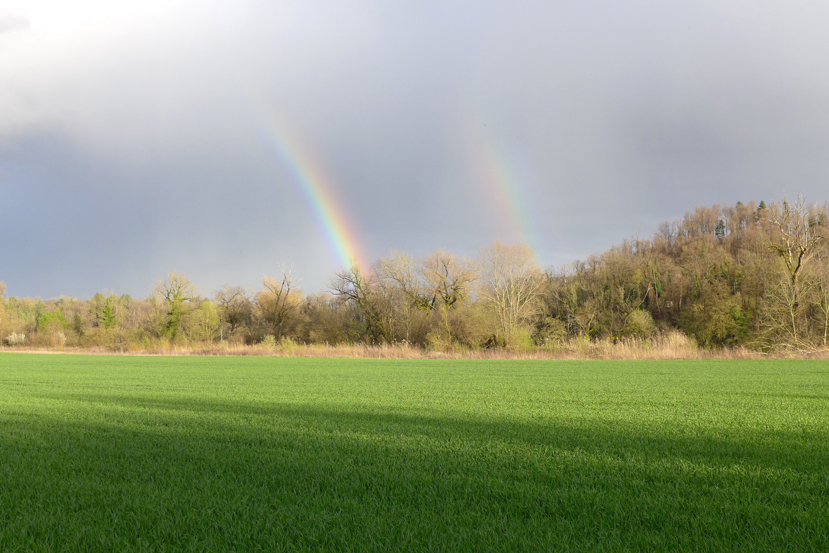 Regenbogen Ettikoner Lauffen-1-4-23