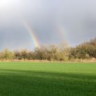 Regenbogen Ettikoner Lauffen-1-4-23