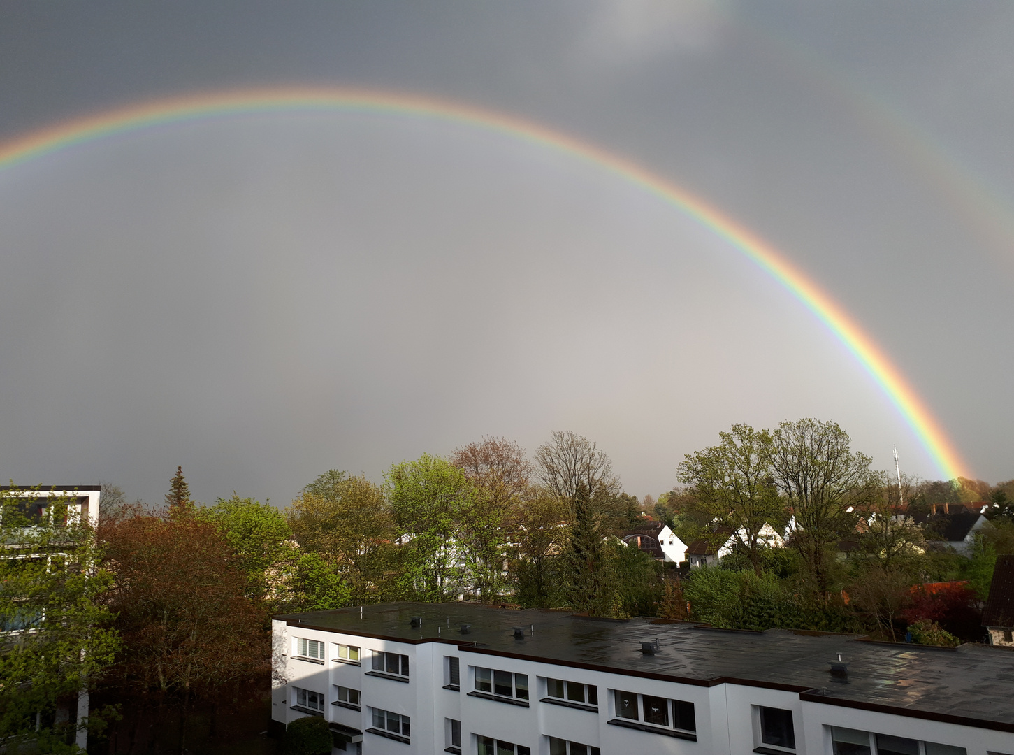 Regenbogen "Eugen"