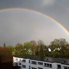 Regenbogen "Eugen"