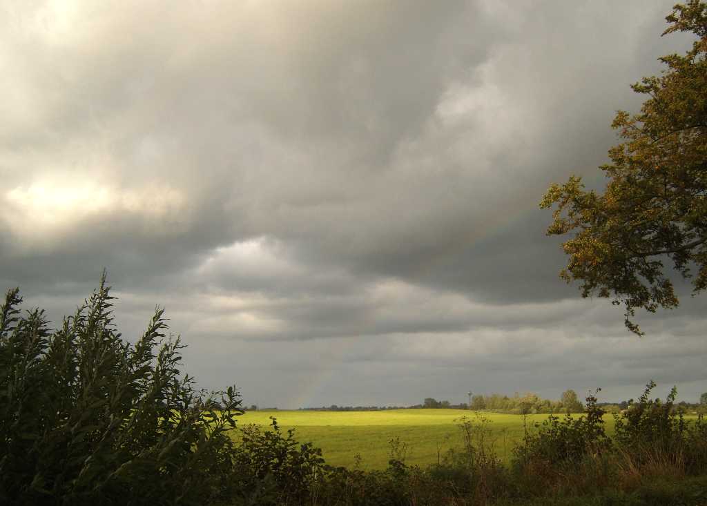 Regenbogen