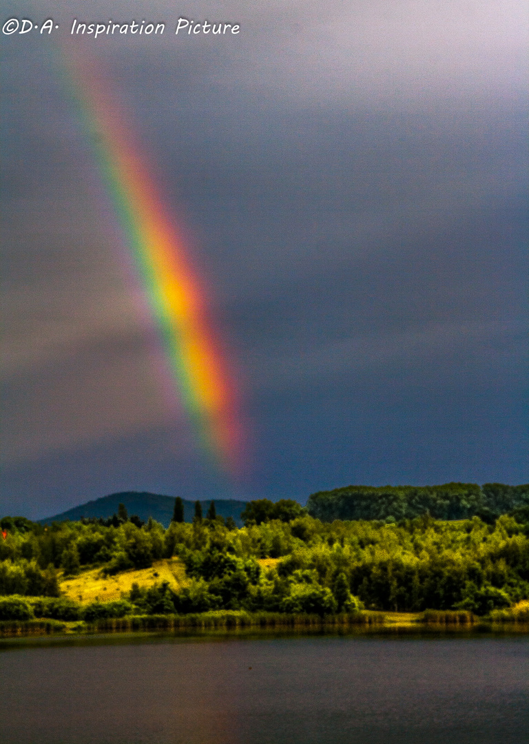 Regenbogen