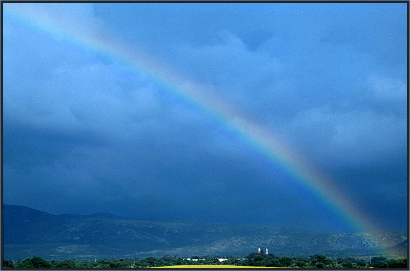 Regenbogen