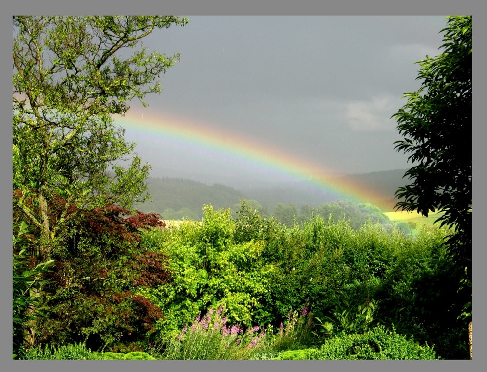 Regenbogen