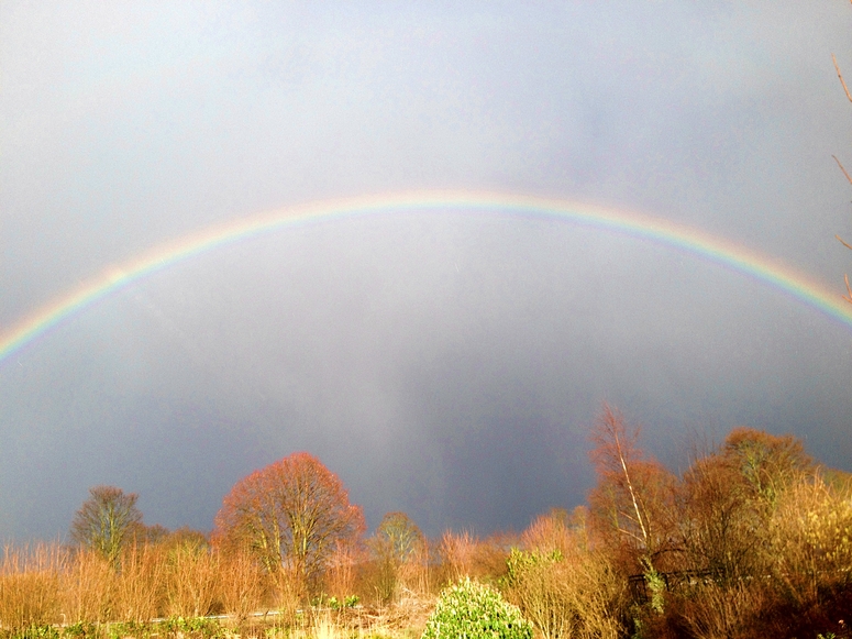 Regenbogen