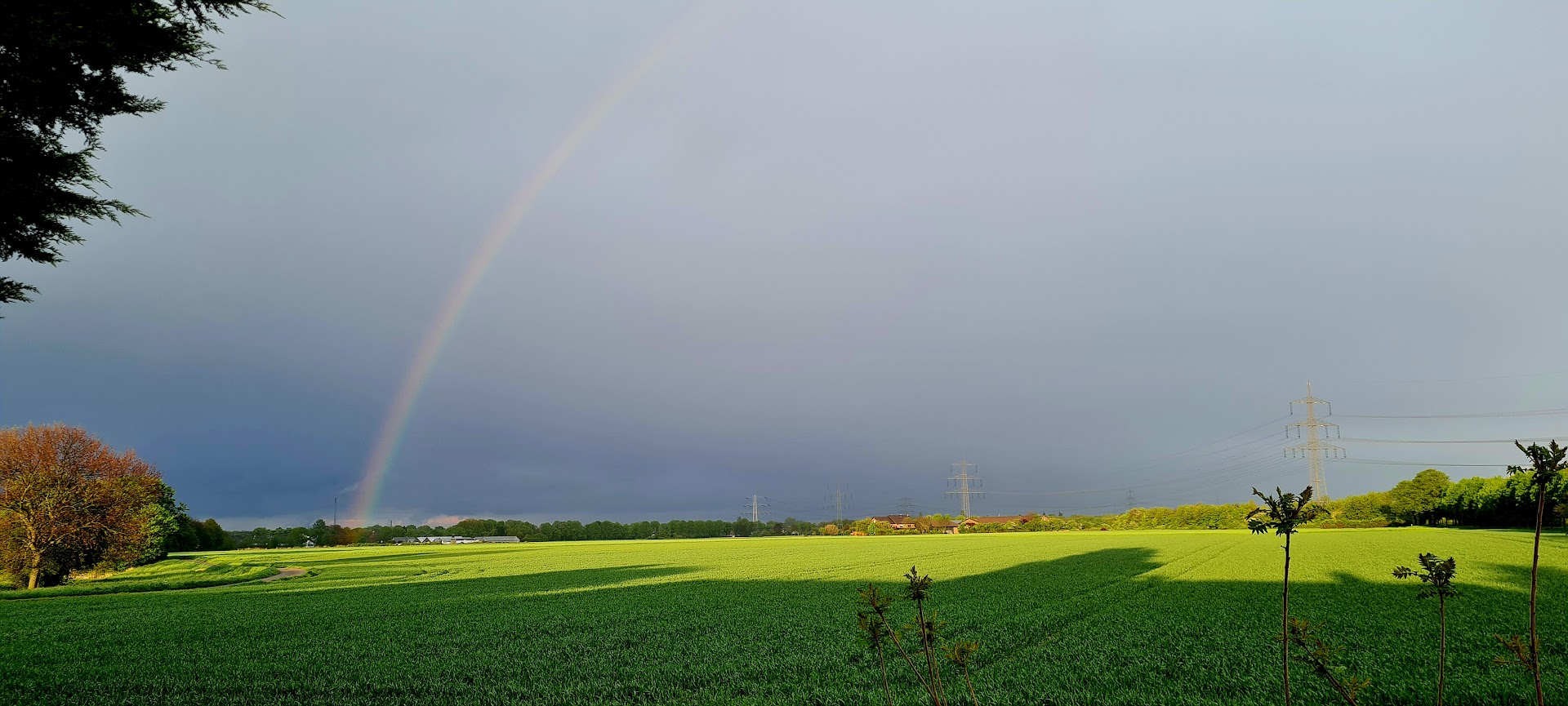 Regenbogen