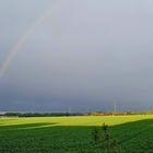 Regenbogen