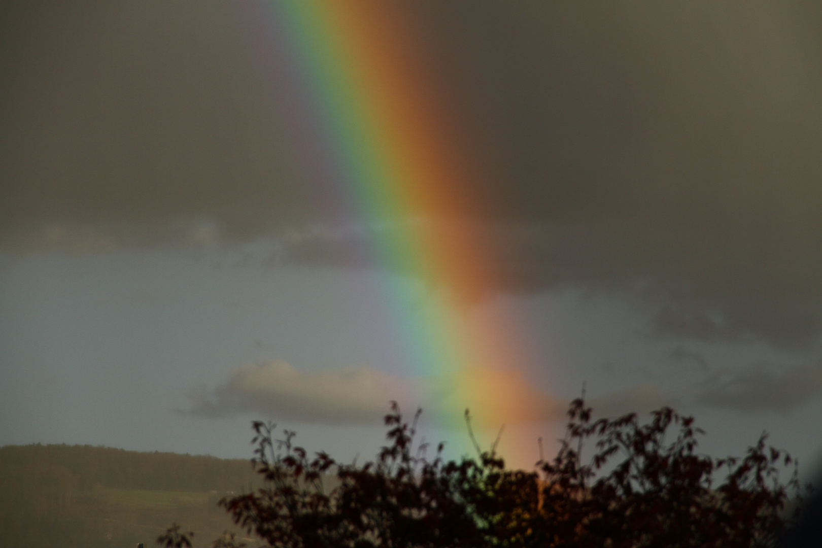 Regenbogen