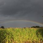 Regenbogen.....