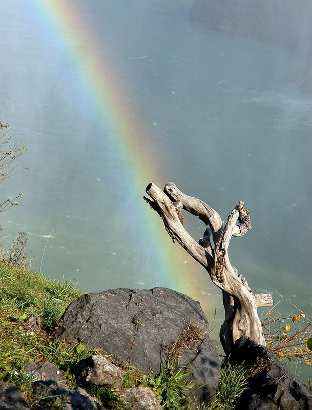 Regenbogen.