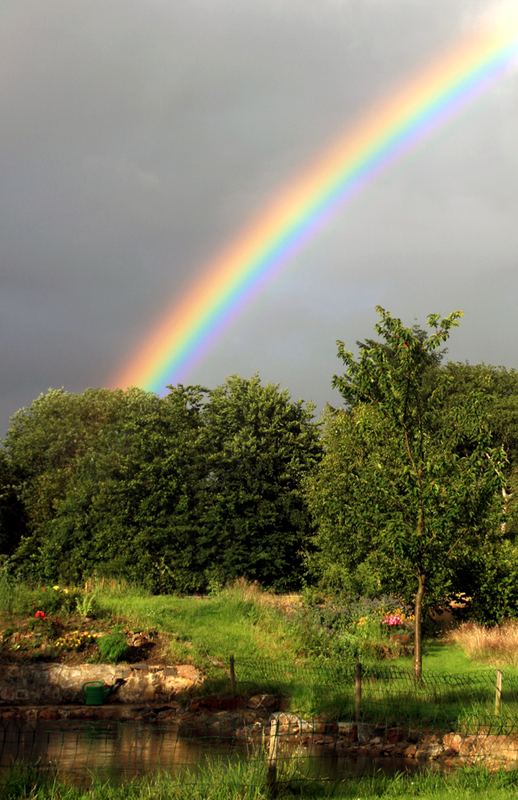 Regenbogen