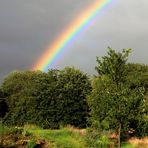 Regenbogen