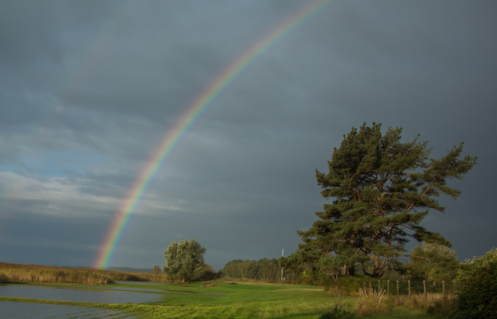 Regenbogen