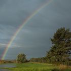 Regenbogen