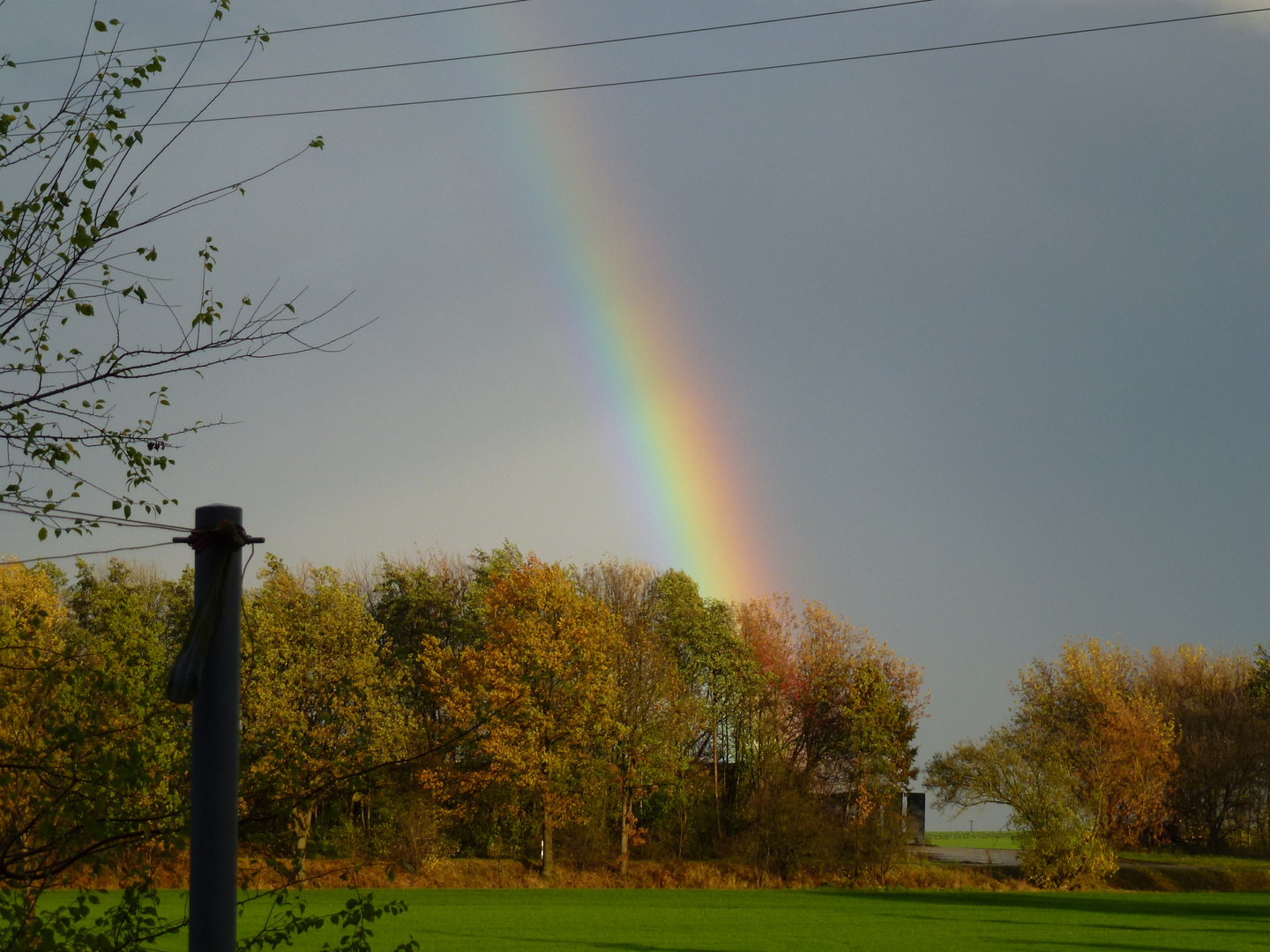 Regenbogen