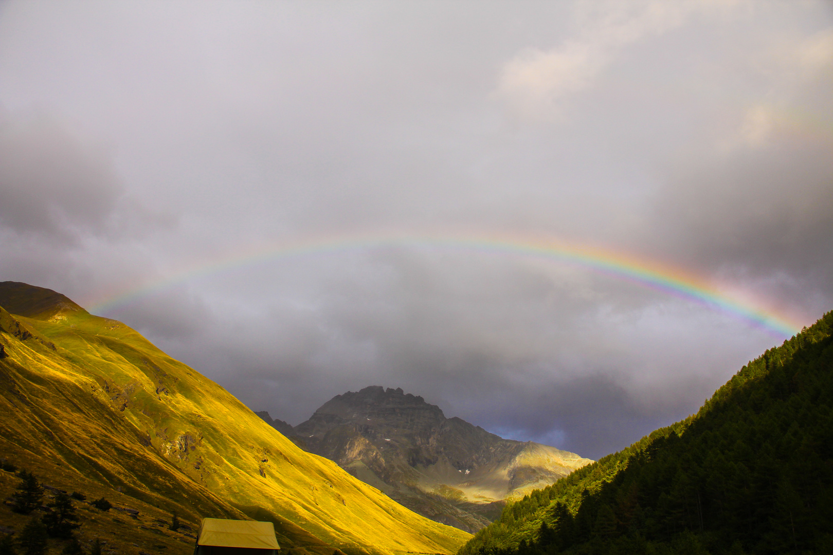 Regenbogen