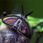 Regenbogen - Farben