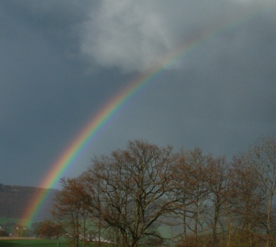 Regenbogen