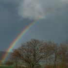 Regenbogen