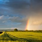 Regenbogen