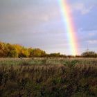 Regenbogen