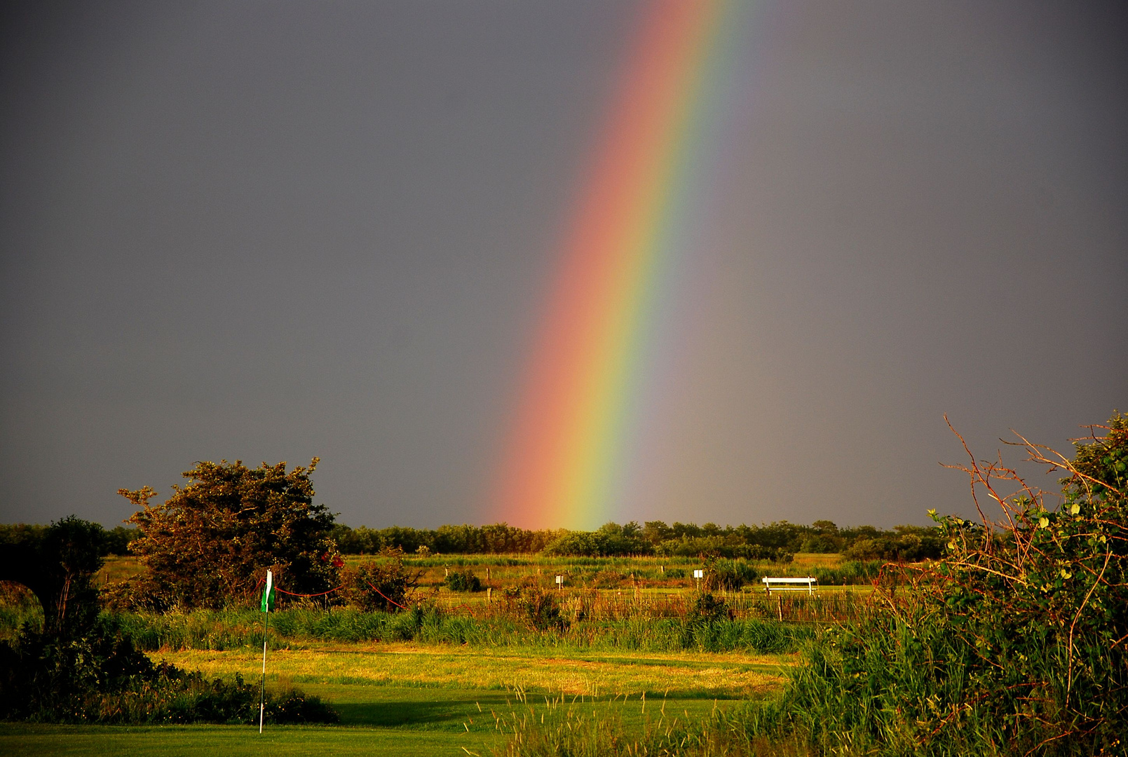 Regenbogen