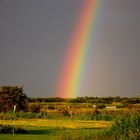 Regenbogen