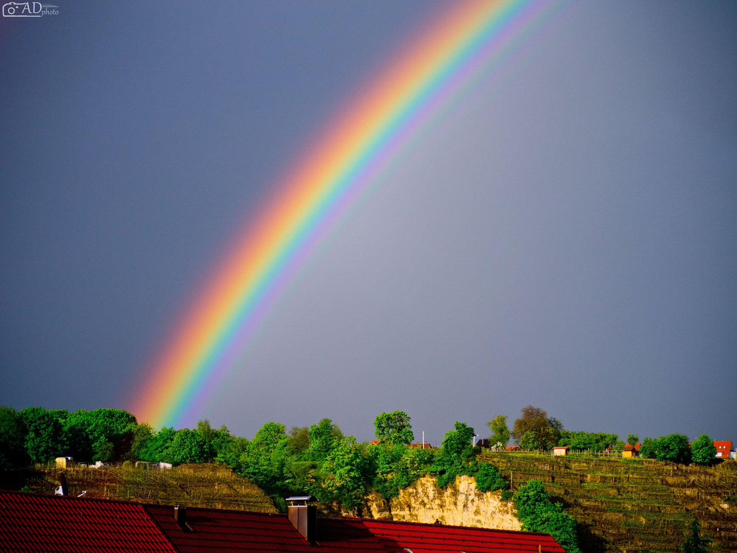 Regenbogen