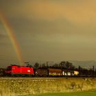 Regenbogen