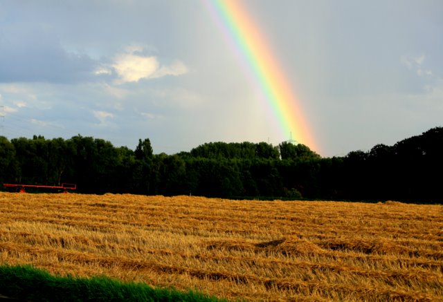 Regenbogen