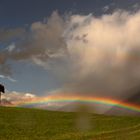 Regenbogen