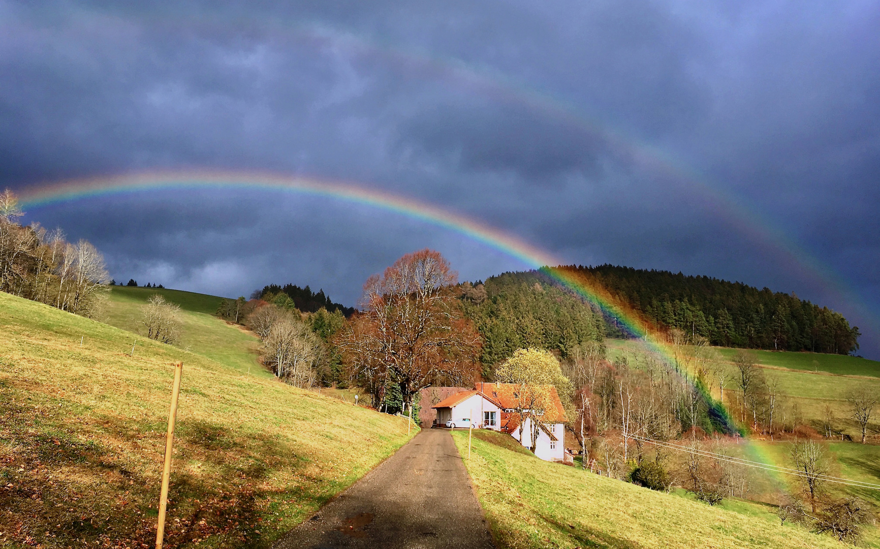 Regenbogen