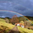 Regenbogen