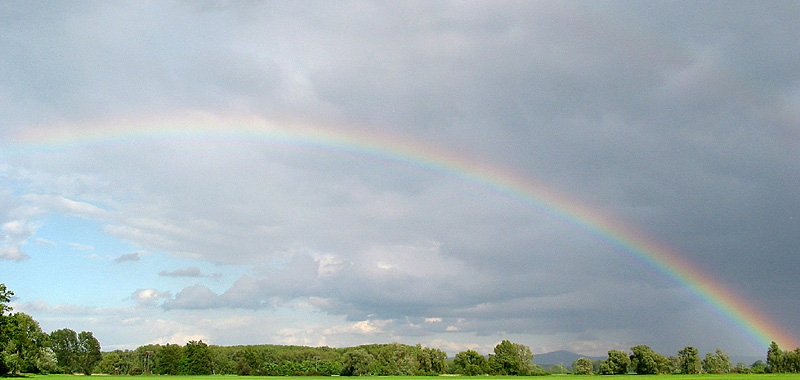 Regenbogen