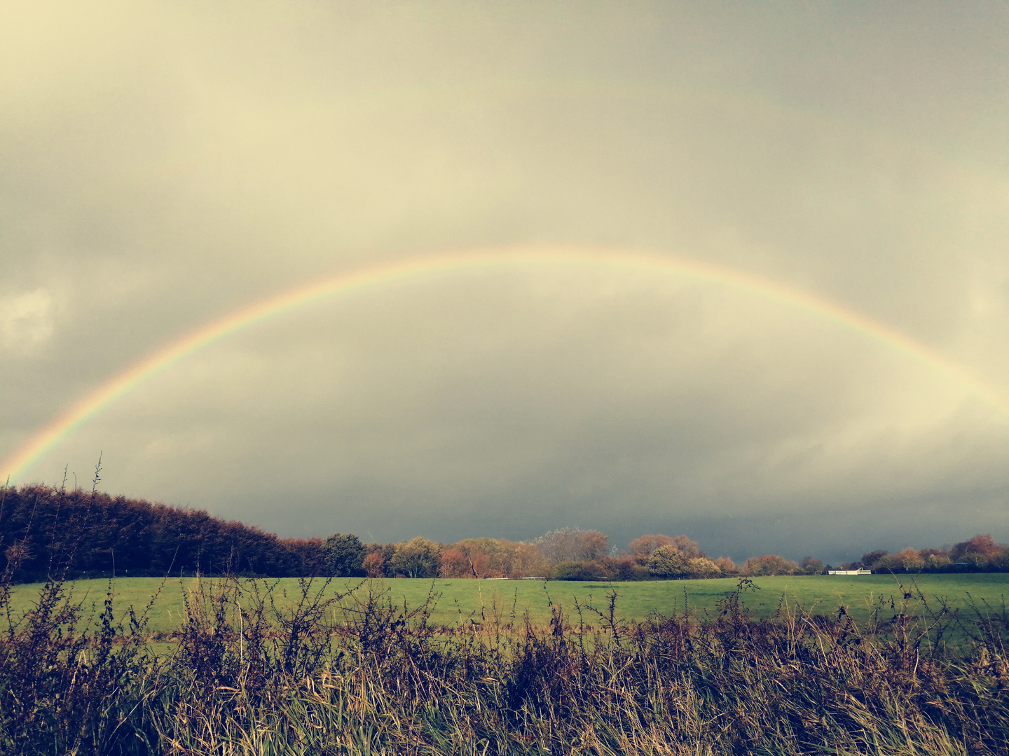 Regenbogen