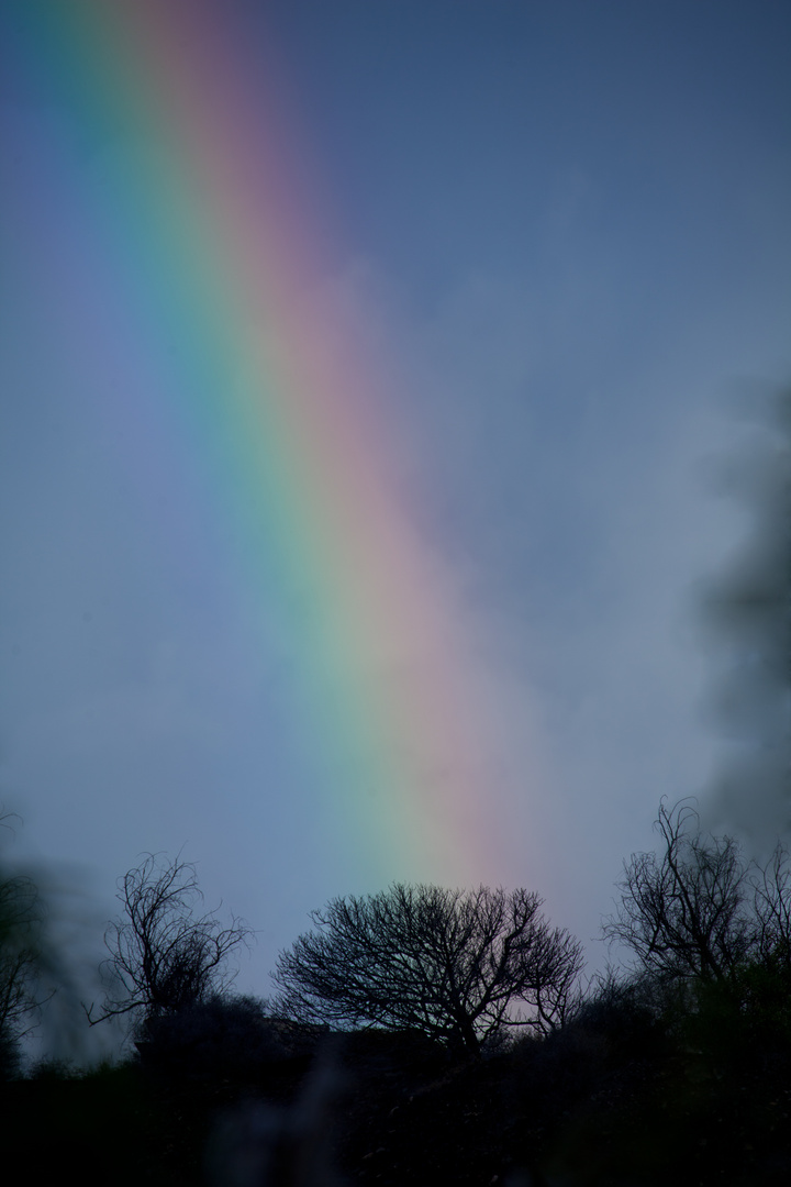 Regenbogen - Gedanken