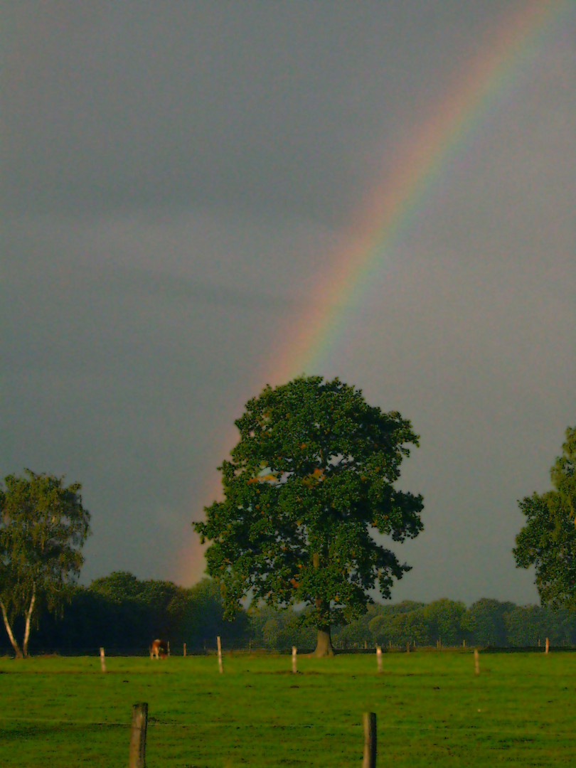 Regenbogen Halstenbek