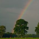 Regenbogen Halstenbek