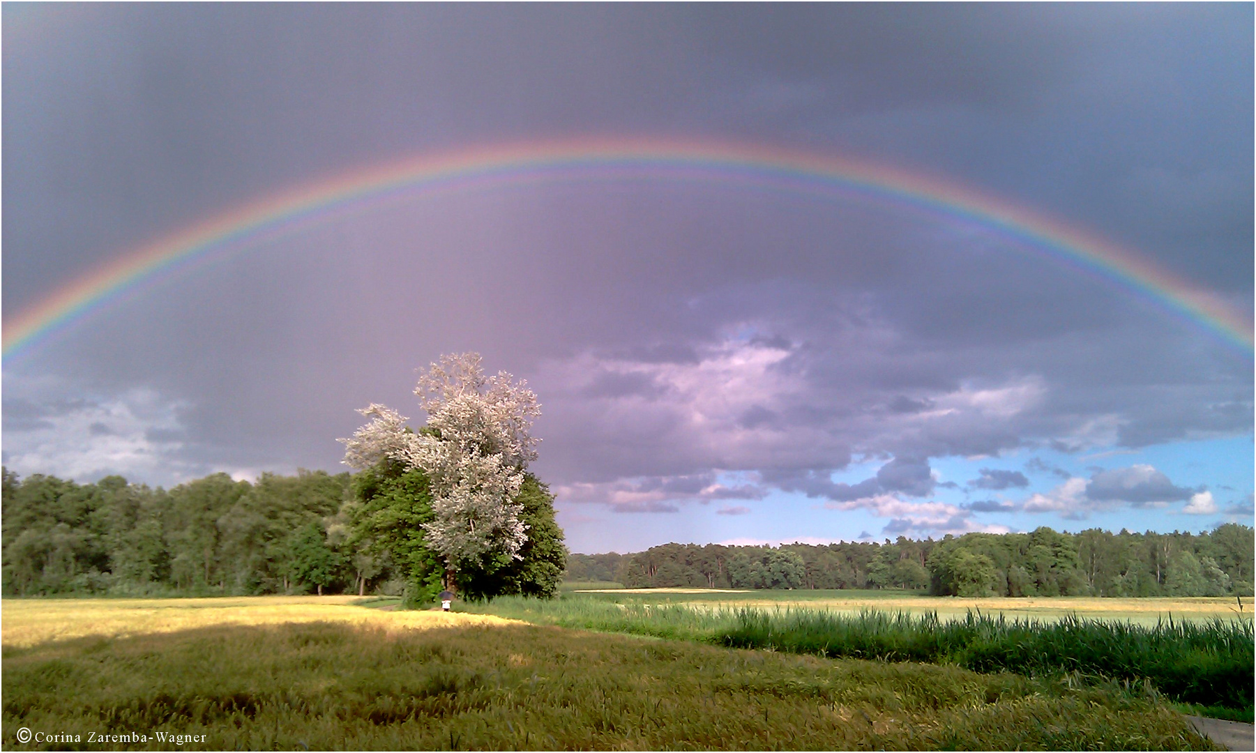 Regenbogen-Handy-Schnappschuss