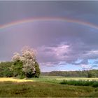 Regenbogen-Handy-Schnappschuss