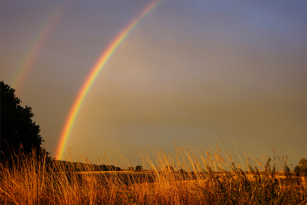 Regenbogen heute abend