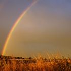 Regenbogen heute abend