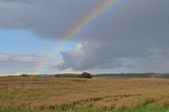 Regenbogen – Hoffnungsstrahl?