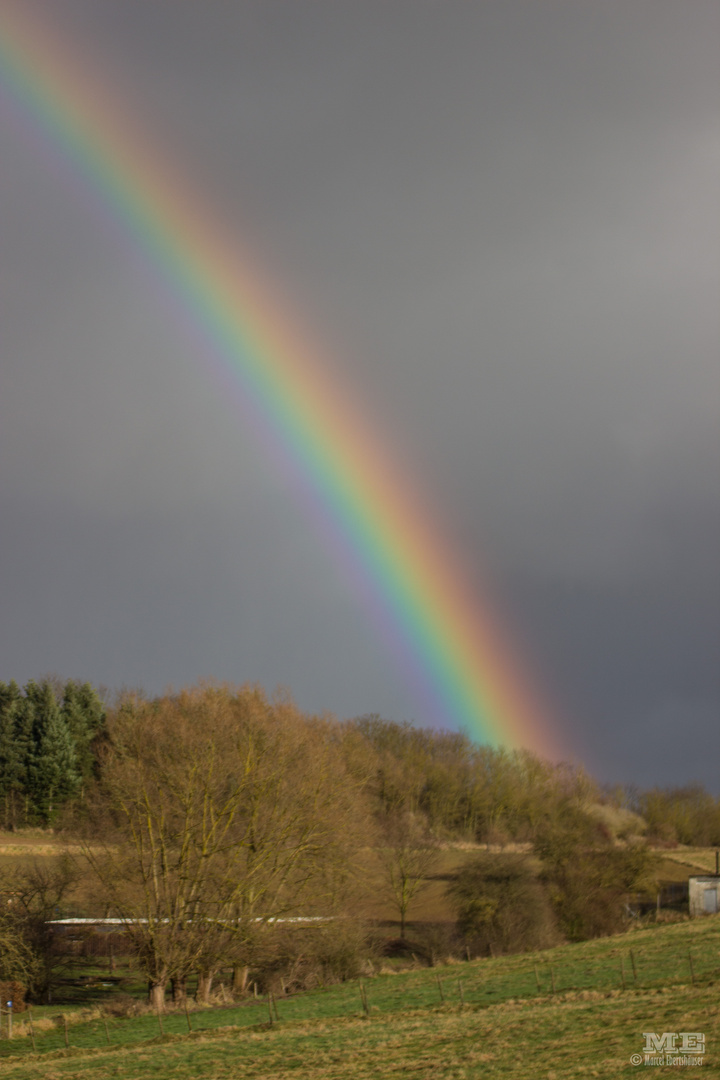 Regenbogen I